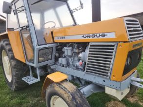 Ursus c 385