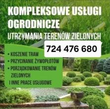 Usługi ogrodnicze , wycinki drzew , koszenie trawy, na...