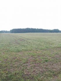 Sprzedam