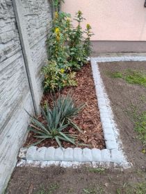 Kora sosnowa, włóknika