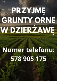 Przyjmę grunty orne w dzierżawę (Dziadowice i okolice)