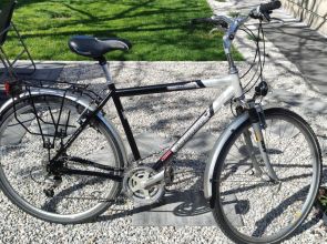Rower Diamant 28