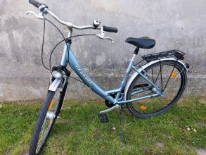 Rower damski Pegasus