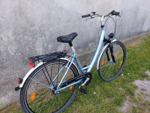 Rower damski Pegasus