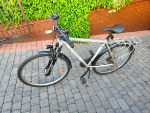 Rower Kellys Alpina T10 eco