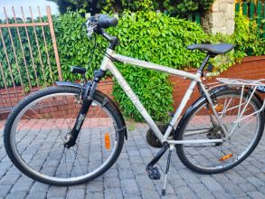 Rower Kellys Alpina T10 eco