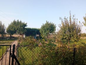 Sprzedam działkę ROD Wspólnota