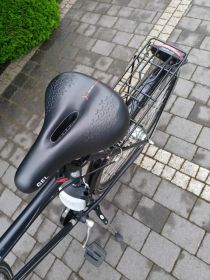 Rower męski pegasus