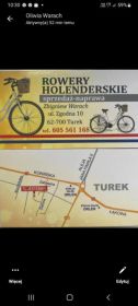Rowery holenderskie gazelle batavus sparta