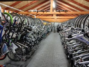 Rowery holenderskie gazelle batavus sparta