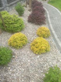 Zakładanie ogrodów,trawników,drobne brukarskie