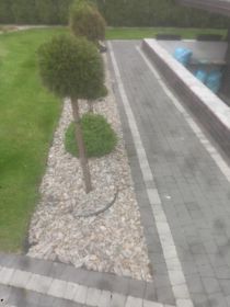 Zakładanie ogrodów,trawników,drobne brukarskie