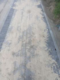 Zakładanie ogrodów,trawników,drobne brukarskie