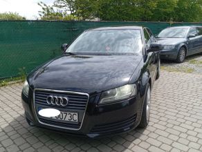 Audi /A3/Lift/1.9/TDI/5-Drzwi/Śliczna/Zarejestr/