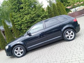 Audi /A3/Lift/1.9/TDI/5-Drzwi/Śliczna/Zarejestr/