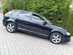 Audi /A3/Lift/1.9/TDI/5-Drzwi/Śliczna/Zarejestr/
