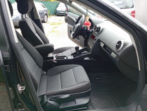 Audi /A3/Lift/1.9/TDI/5-Drzwi/Śliczna/Zarejestr/
