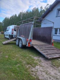 Przyczepka do przewozu zwierząt zarejestrowany
