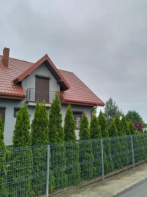 Mycie kostki brukowej dachów