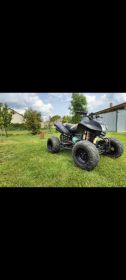Quad Bashan