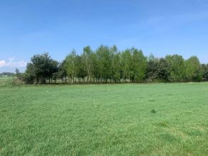 Działki budowlane Rogów