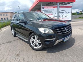 350 cdi / 4-matic / salon polska / jasne wnętrze okazja