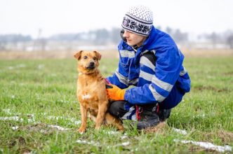Rożek - cudowny psiak szuka pilnie kochajacego domu!