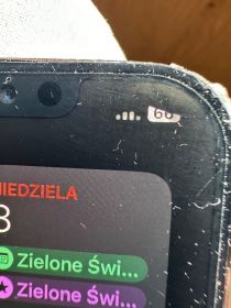 iPhone 12 Pro Max 256 gb