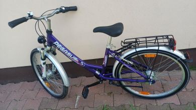 Sprzedam Rower kola 24