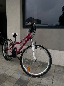 Rower cross