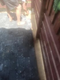 Zakładanie ogrodów,trawników,drobne brukarskie