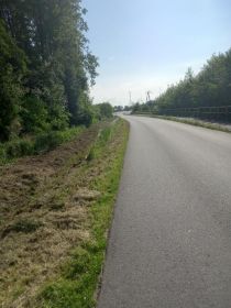 Usługi wykaszania podkaszarka, wycinka drzew