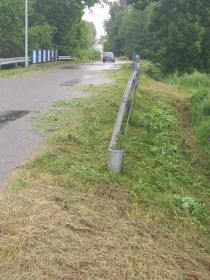 Usługi wykaszania podkaszarka, wycinka drzew