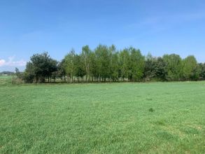 2 działki na sprzedaż ROGÓW gm. Przykona