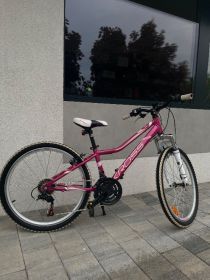Rower Kross