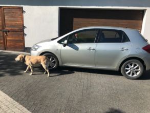 Toyota Auris z 2007roku, silnik 2.0 D4D, przebieg 250tys....