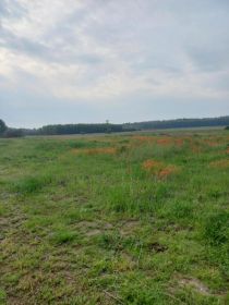 Działka budowlana