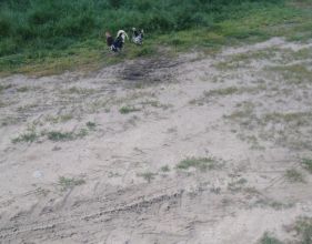 Sprzedam