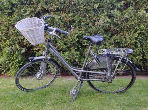 Rowery Gazelle-para