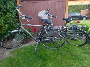 Rowery Gazelle-para