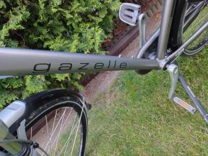 Rowery Gazelle-para