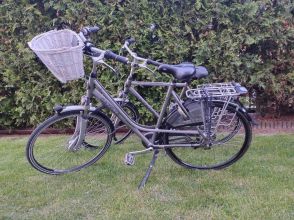 Rowery Gazelle-para