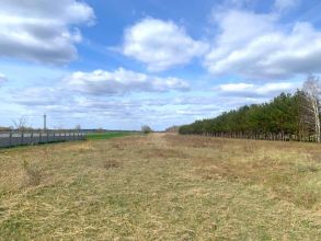 Działki powierzchni 3,9 ha na sprzedaż KRWONY gm Brudzew