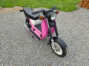 Simson