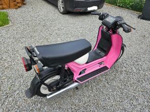 Simson