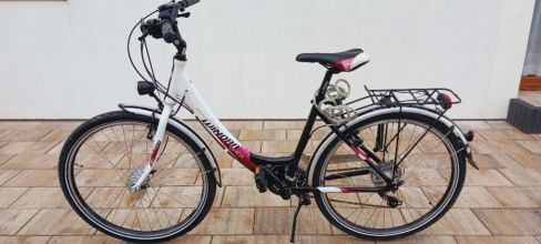 Rower winora 26