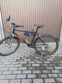 Rower Pegasus