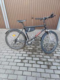 Rower Pegasus