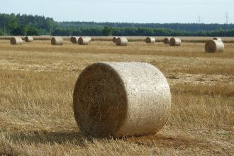 Wymienię słomę na obornik