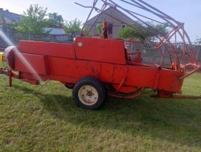 sprzedam prase kostkujaca z 224/1